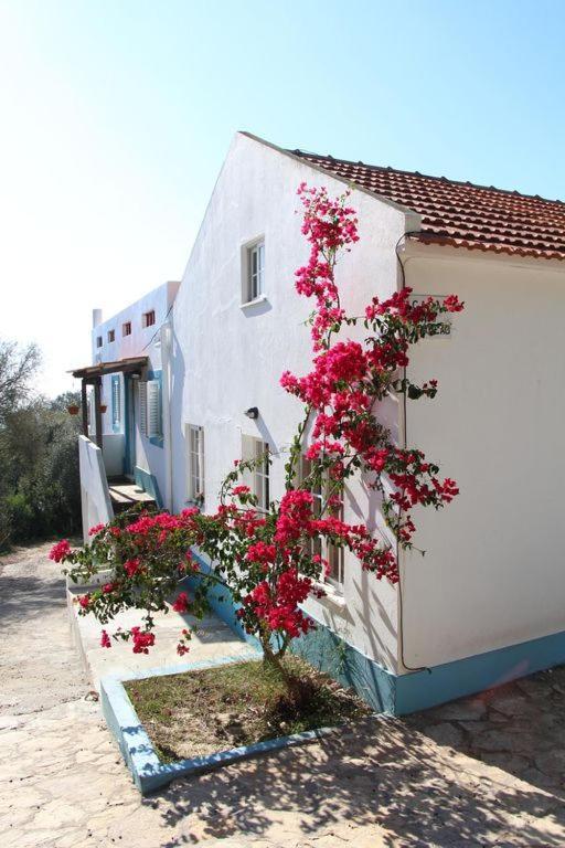Casa do avô Teixeira Vila Sesimbra Exterior foto